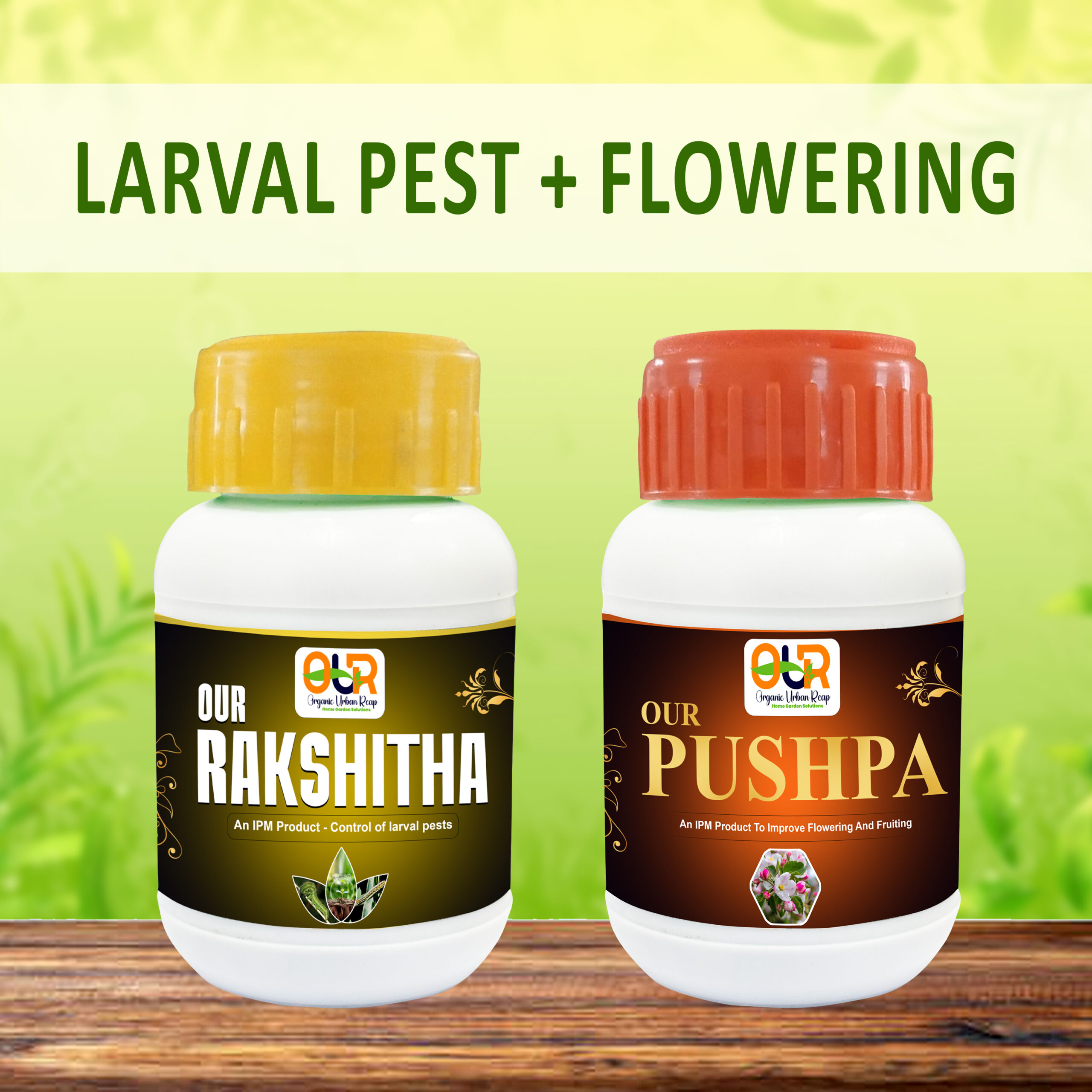 Our Larval pest + flowering