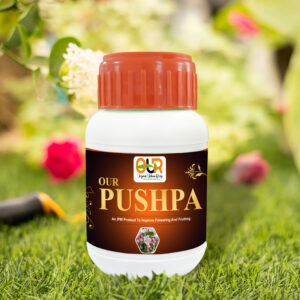 OUR Puspha